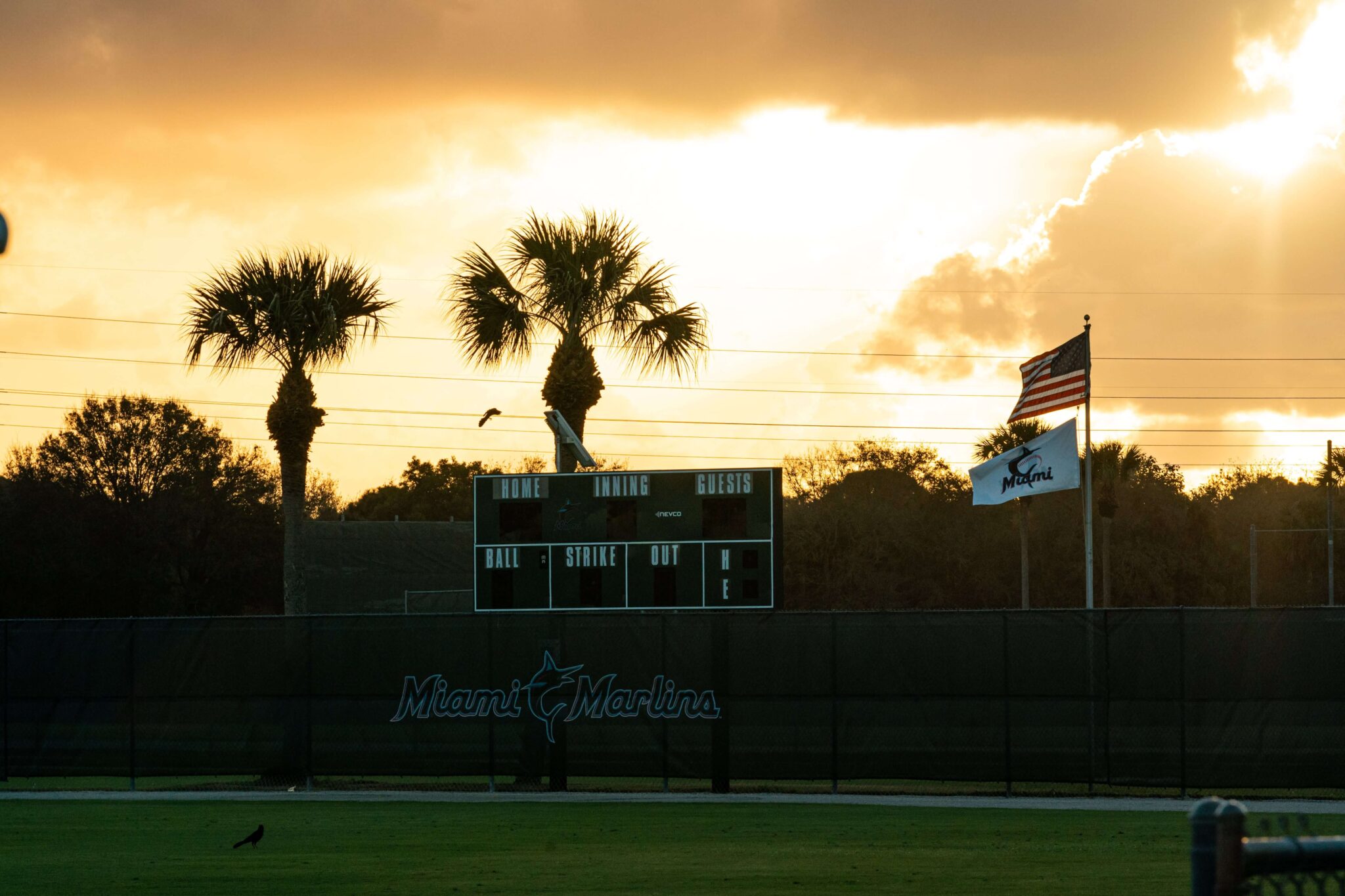 First Day of Marlins 2021 Spring Training Camp By the Numbers South